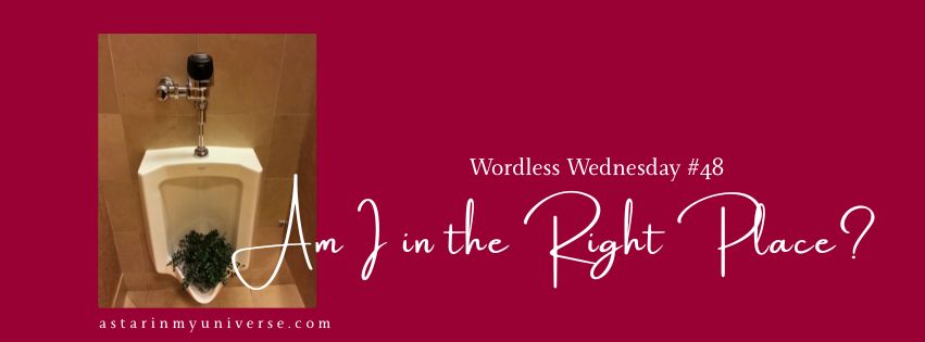 Wordless Wednesday #48 -- Am I In the Right Place?